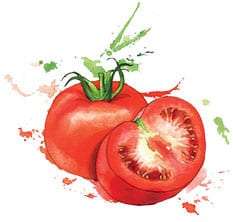 water-tomato